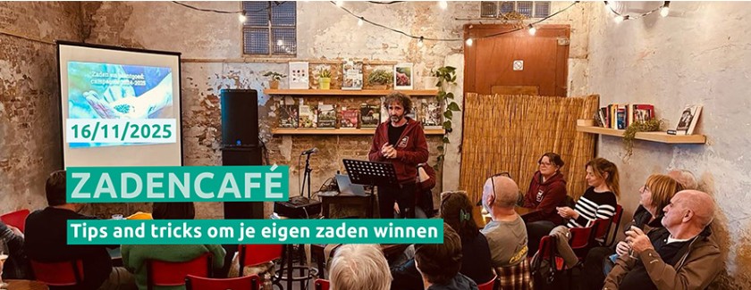 Velt zadencafé 2024